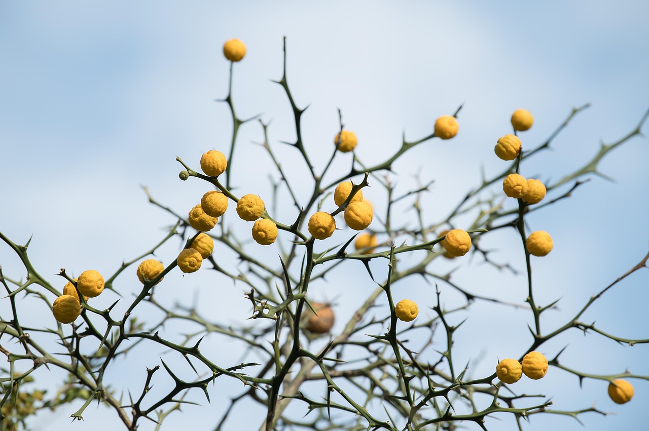 韓国アイドル肌を手に入れるための皮脂と乾燥のどっち対策が効果的？