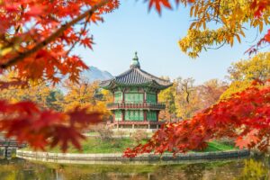 韓国アイドル肌を手に入れるためのシカ鎮静はいつ使うべき？